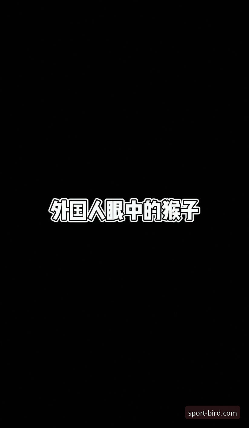 小鸟体育直播平台怎么样？深度揭秘其真实体验与实战指南
