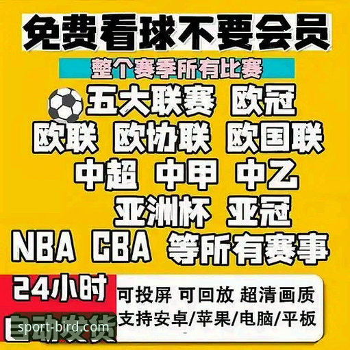 深度揭秘：体育直播App推荐教程背后的真相——小鸟体育平台如何重新定义观赛体验