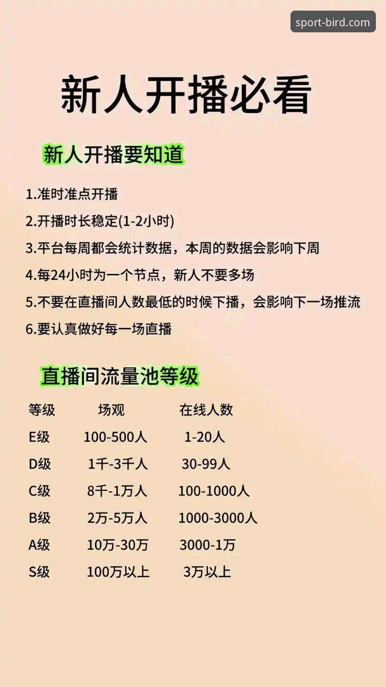 小鸟体育平台随时随地看直播完整指南：从新手到达人的实用经验分享