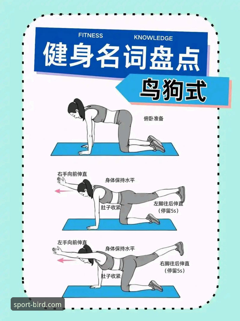 资深球迷亲测：小鸟体育安装方法最新版全流程解析与避坑指南