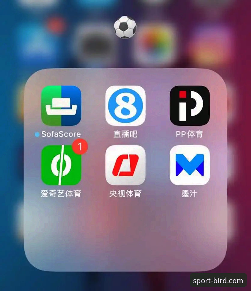小鸟体育App最新版vs旧版：选择哪个版本更适合你的赛事直播体验？