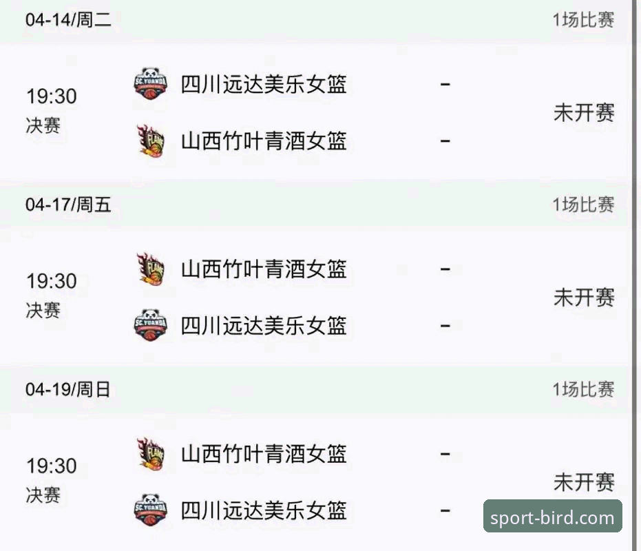 四川女篮vs山西女篮：WCBA总决赛G1大胜背后的实力对比与观赛体验分析