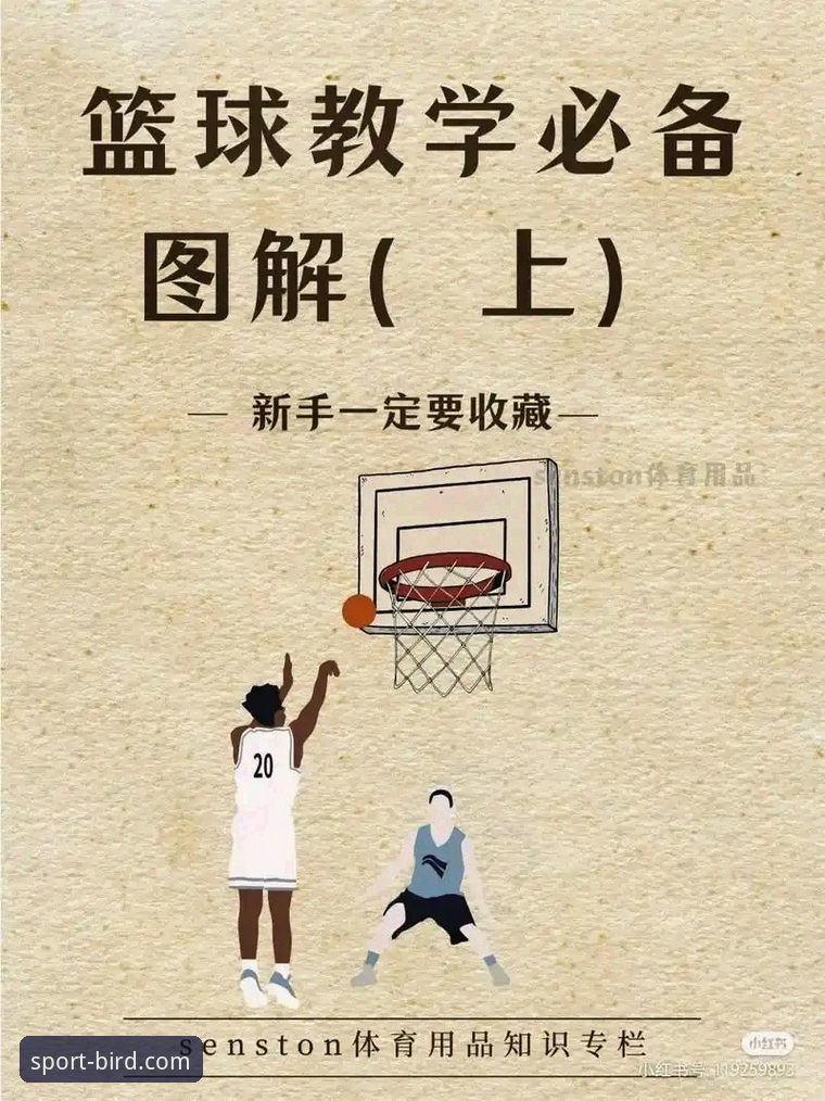 小鸟体育篮球直播 小鸟体育篮球直播操作教程:从注册到高清观看全流程指南