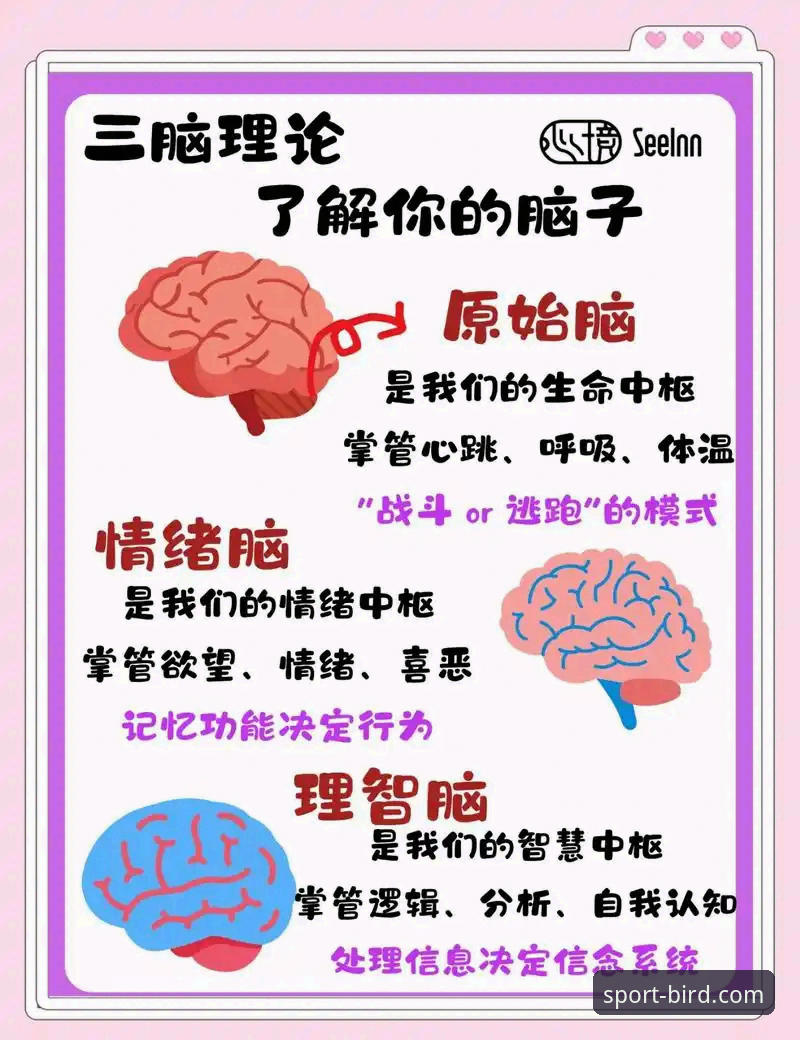 3个关键信号解读：奥尔西如何用“教练选择”撕开意大利足球的深层困境
