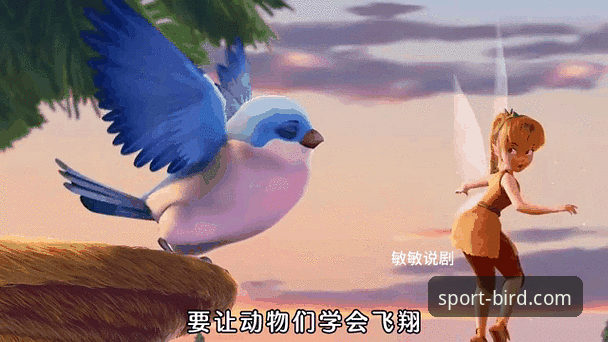 最新赛事动态评测 最新赛事动态评测:5个让小鸟体育平台更精彩的使用技巧