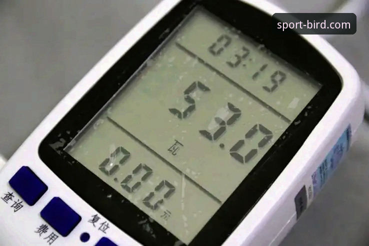 小鸟体育是正规平台吗 资深用户亲测:小鸟体育平台正规性深度解析与使用心得